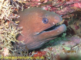 Thailand www.aqua-divers.de